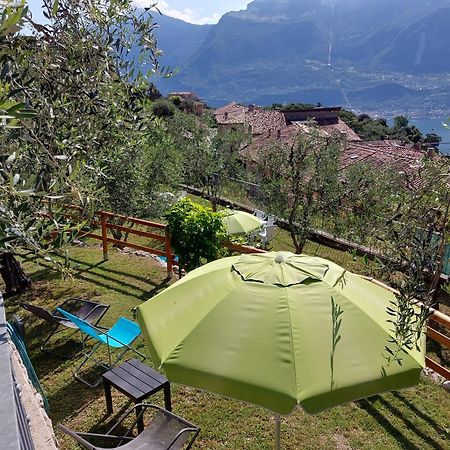 Ulivi Sul Garda Garden By Gardadomusmea Διαμέρισμα Tremosine Εξωτερικό φωτογραφία