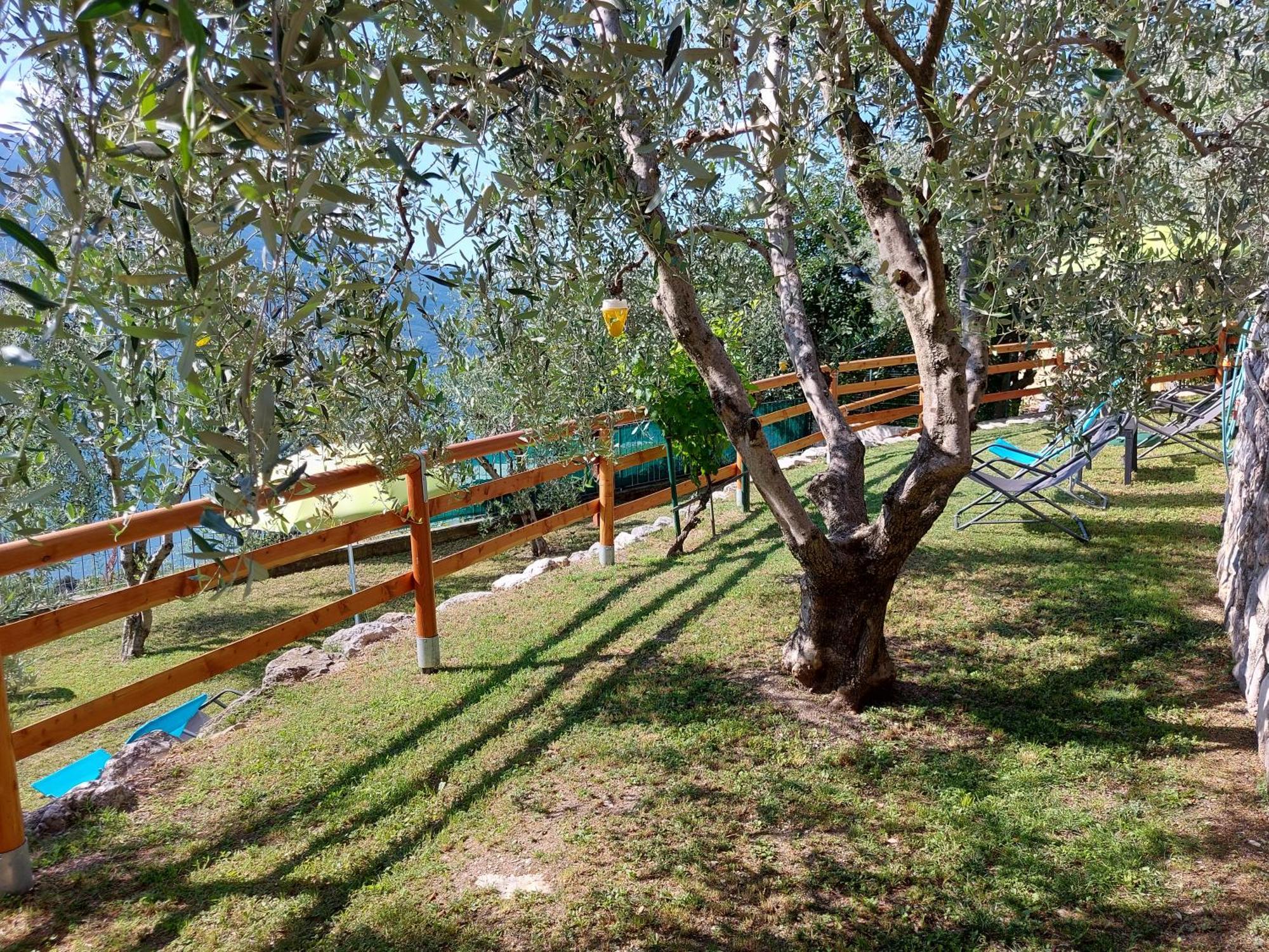 Ulivi Sul Garda Garden By Gardadomusmea Διαμέρισμα Tremosine Εξωτερικό φωτογραφία