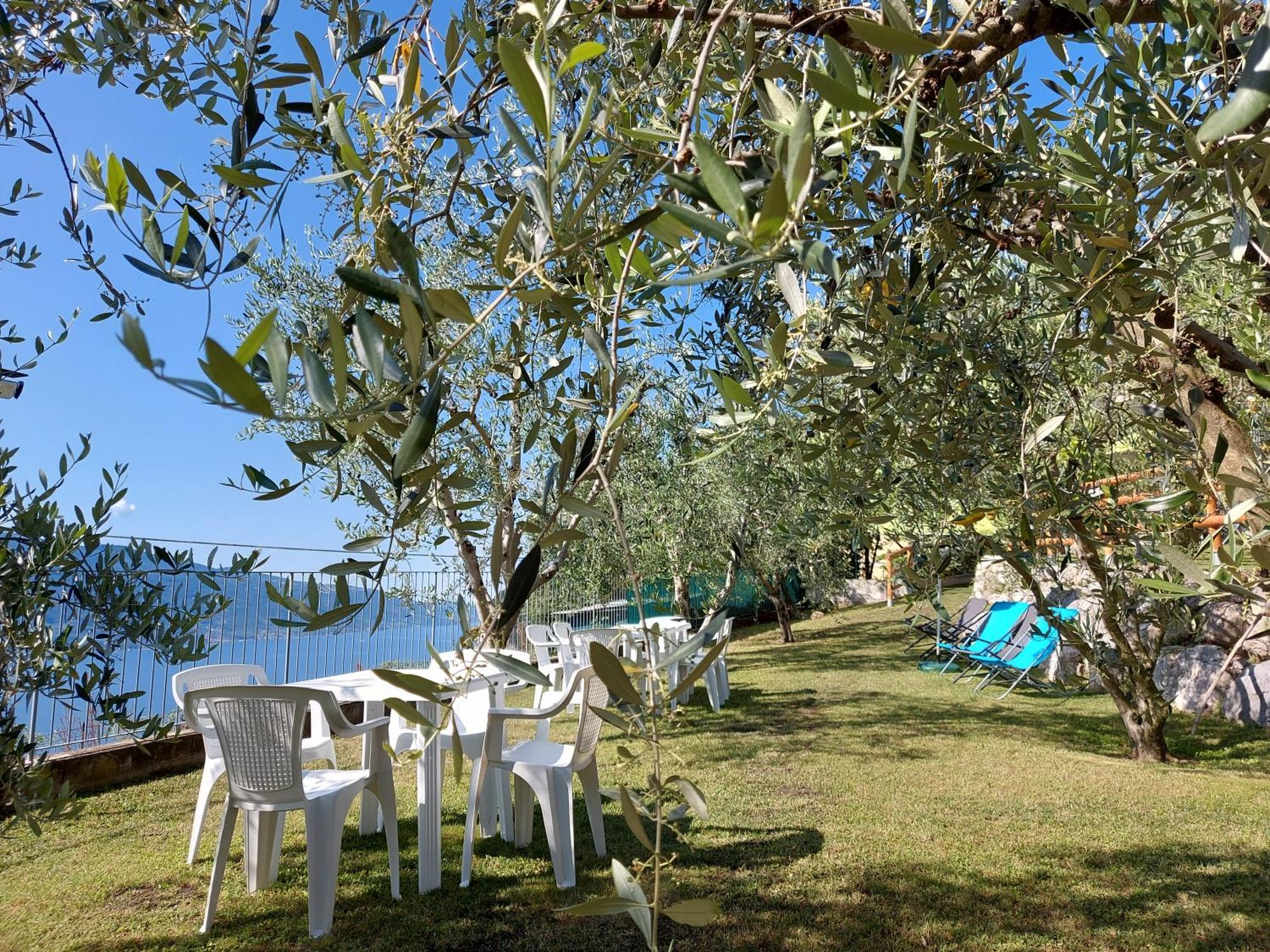 Ulivi Sul Garda Garden By Gardadomusmea Διαμέρισμα Tremosine Εξωτερικό φωτογραφία