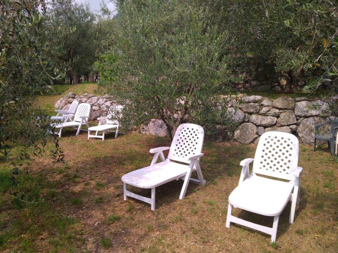 Ulivi Sul Garda Garden By Gardadomusmea Διαμέρισμα Tremosine Εξωτερικό φωτογραφία