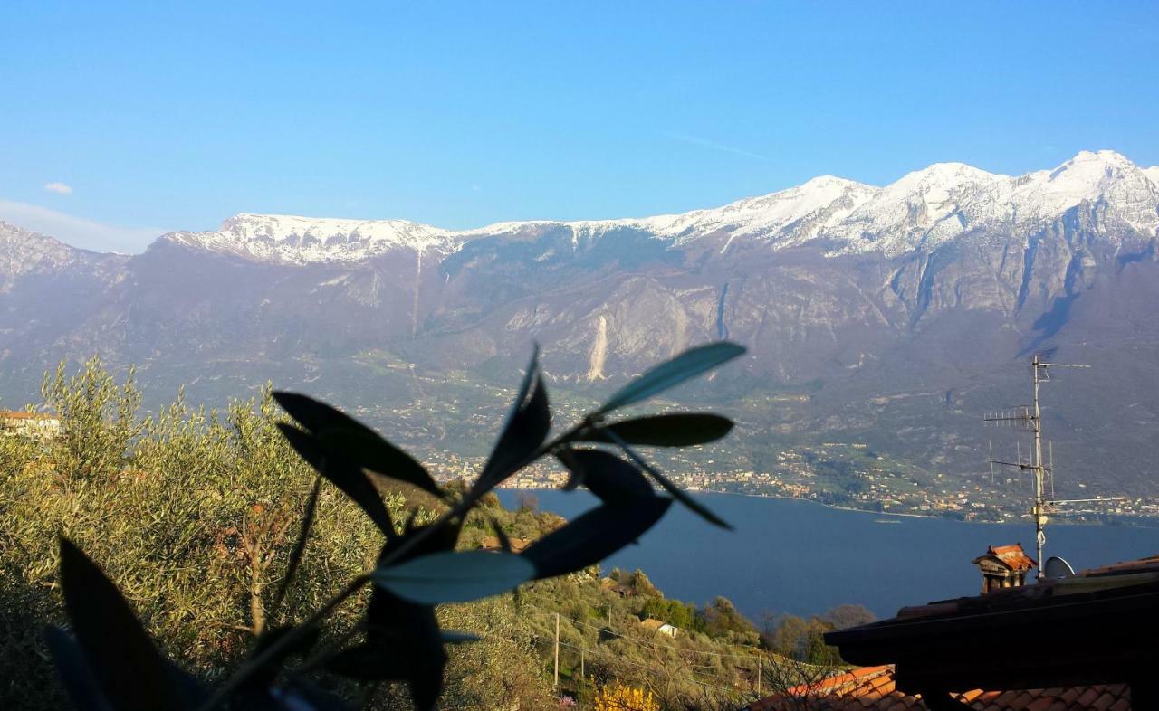 Ulivi Sul Garda Garden By Gardadomusmea Διαμέρισμα Tremosine Εξωτερικό φωτογραφία