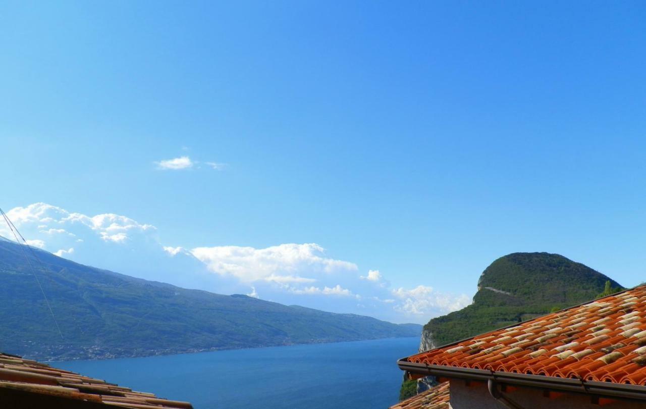 Ulivi Sul Garda Garden By Gardadomusmea Διαμέρισμα Tremosine Εξωτερικό φωτογραφία