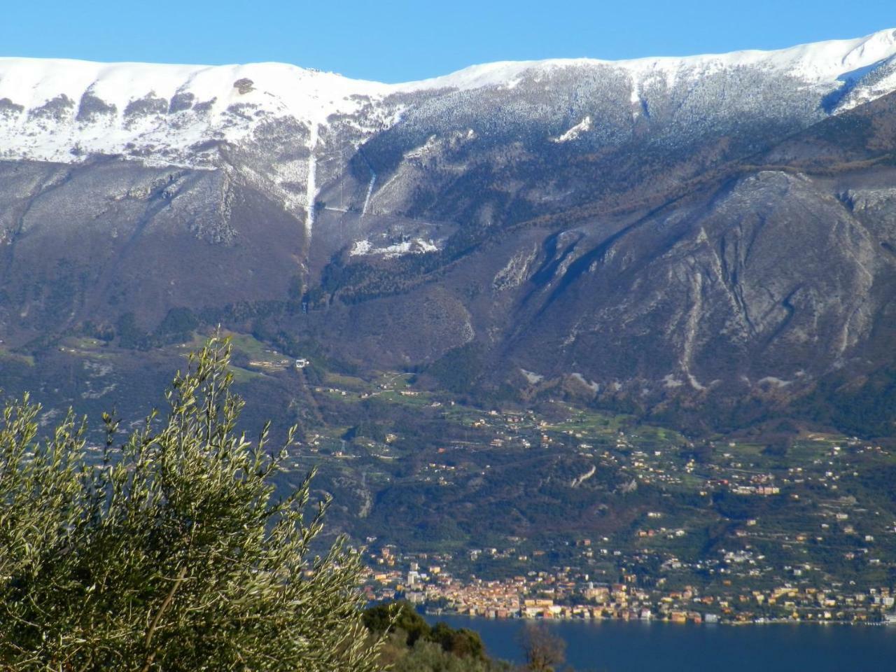 Ulivi Sul Garda Garden By Gardadomusmea Διαμέρισμα Tremosine Εξωτερικό φωτογραφία
