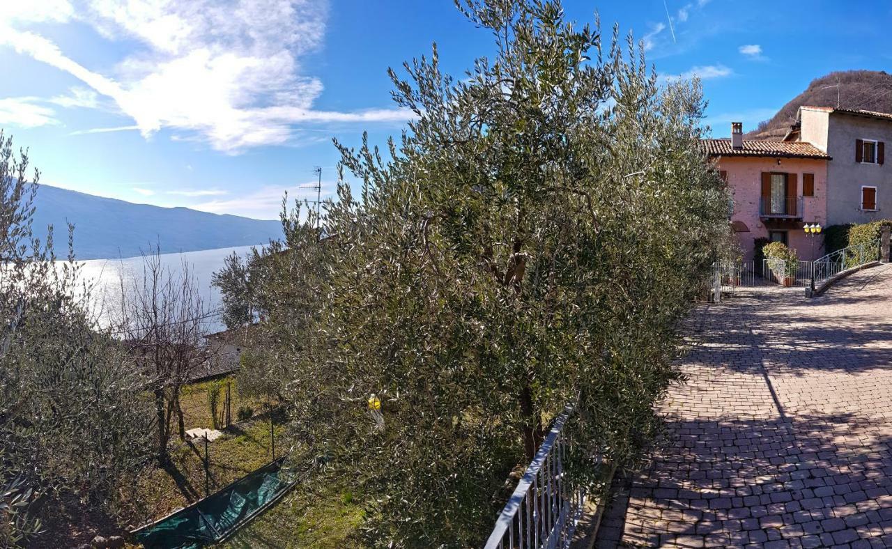 Ulivi Sul Garda Garden By Gardadomusmea Διαμέρισμα Tremosine Εξωτερικό φωτογραφία