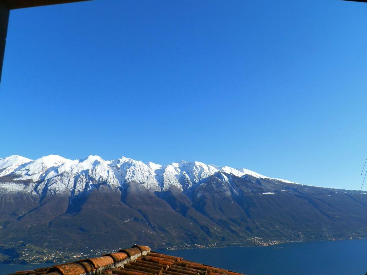 Ulivi Sul Garda Garden By Gardadomusmea Διαμέρισμα Tremosine Εξωτερικό φωτογραφία