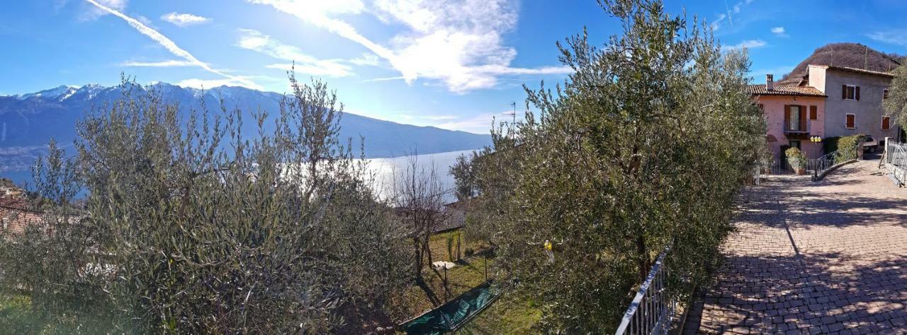 Ulivi Sul Garda Garden By Gardadomusmea Διαμέρισμα Tremosine Εξωτερικό φωτογραφία