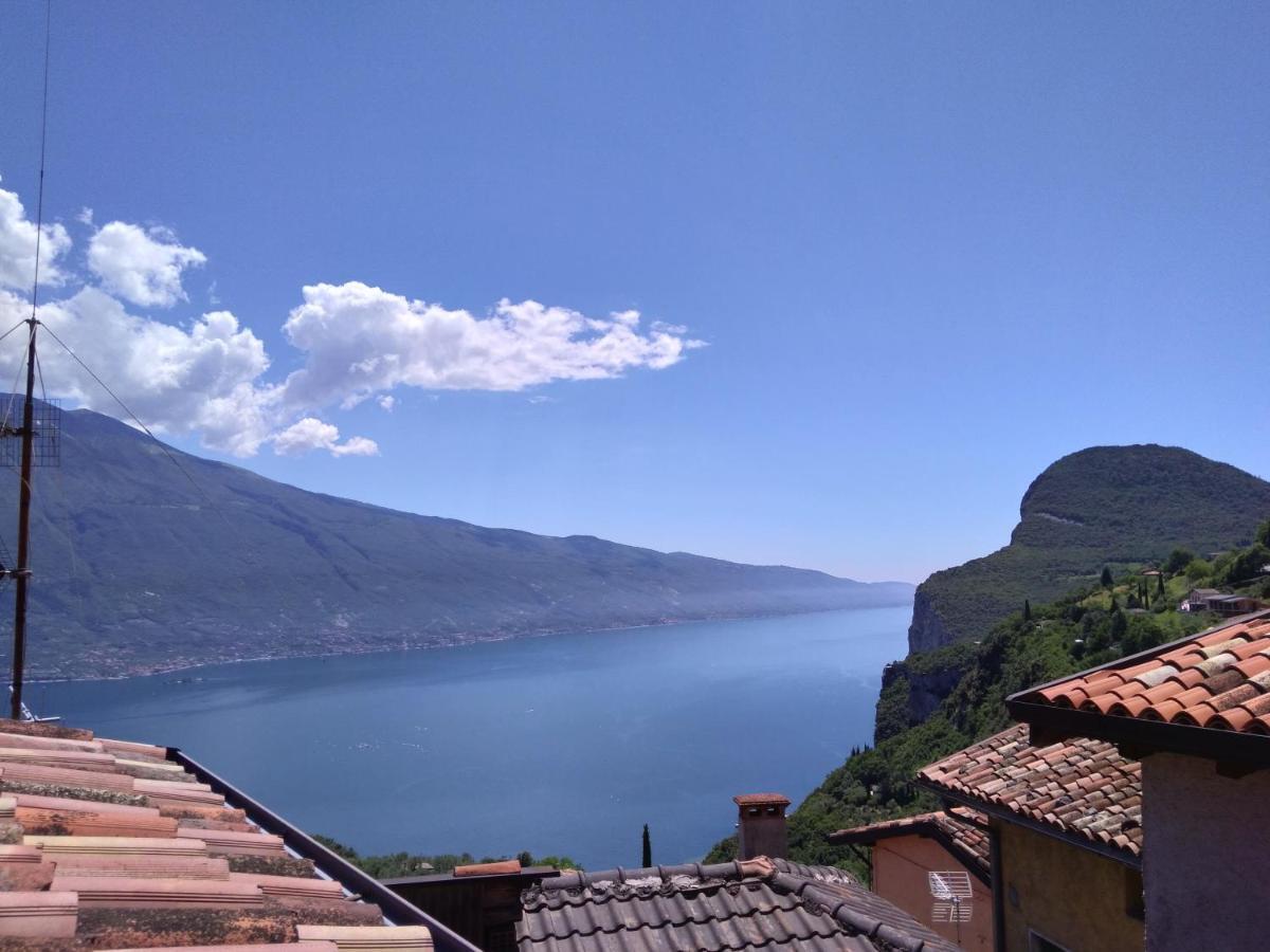 Ulivi Sul Garda Garden By Gardadomusmea Διαμέρισμα Tremosine Εξωτερικό φωτογραφία